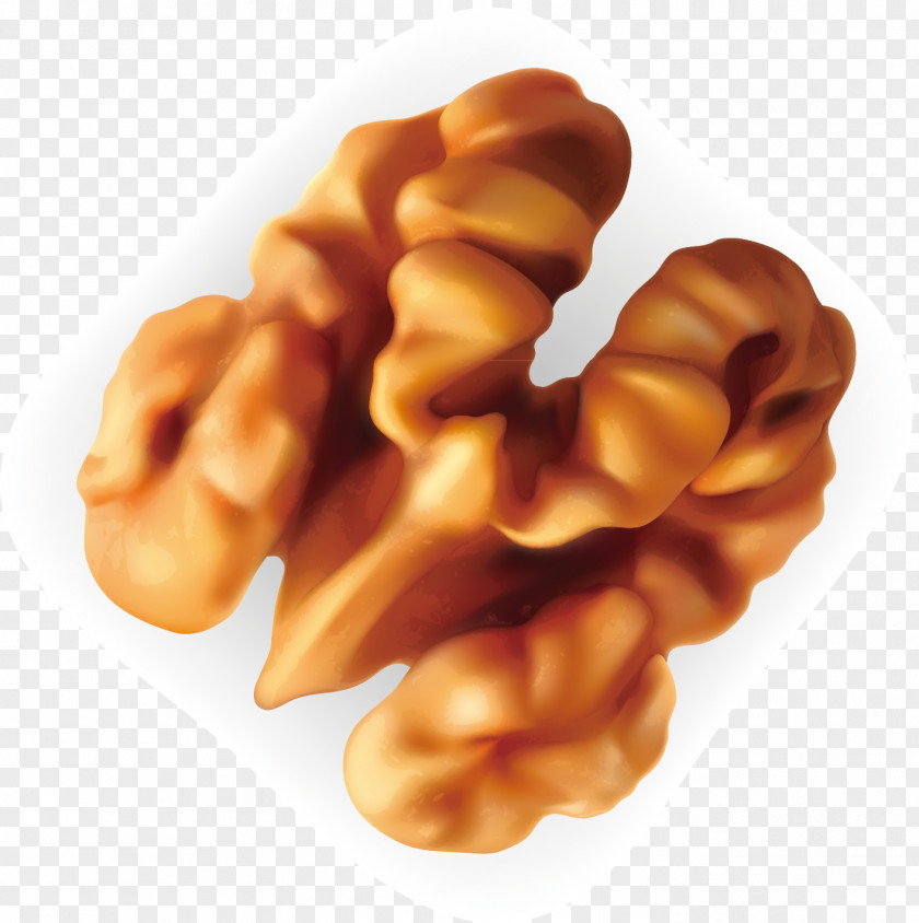 Walnut Decorative Vector Nut Euclidean Pistachio Dried Fruit PNG