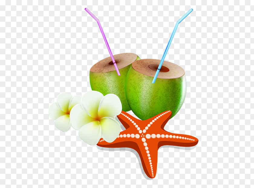 Coconut Starfish Flower Milk PNG