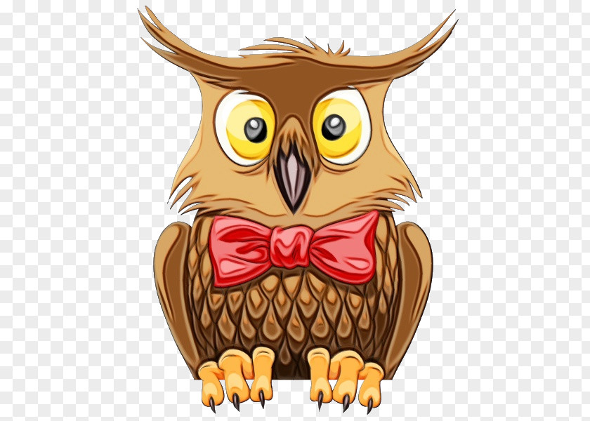 Eastern Screech Owl Bird Of Prey Cartoon Clip Art PNG