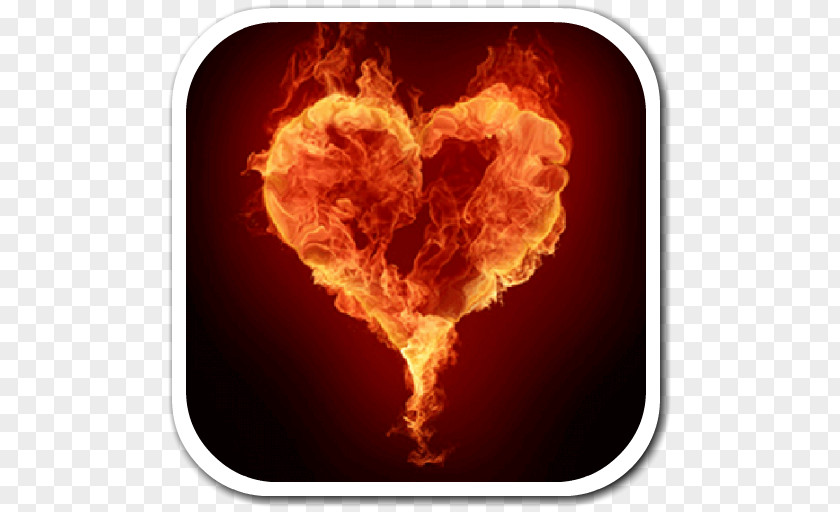 Fire Flame Heart Light Desktop Wallpaper PNG