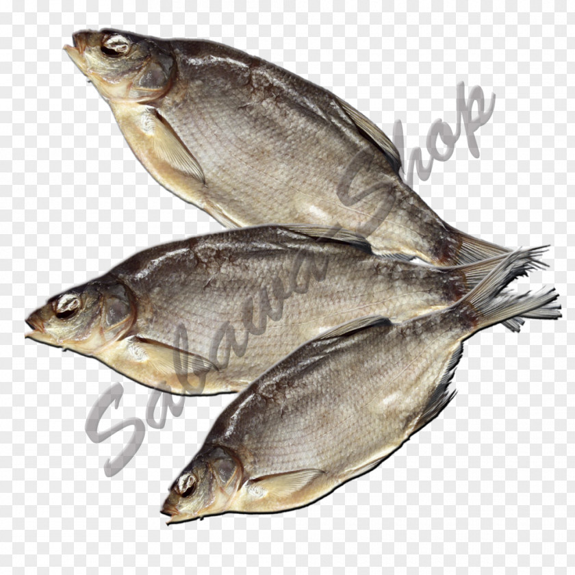 线 Kipper Oily Fish Sardine Salted Products PNG