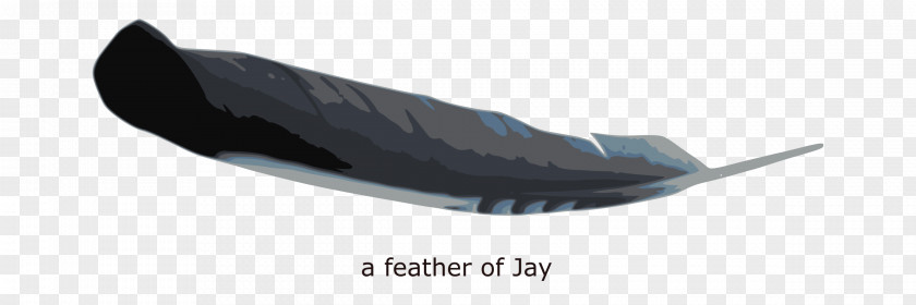 Blue Feather Shoe Angle PNG
