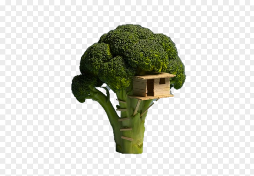 Brocoli Tree House Veggie Burger Building PNG