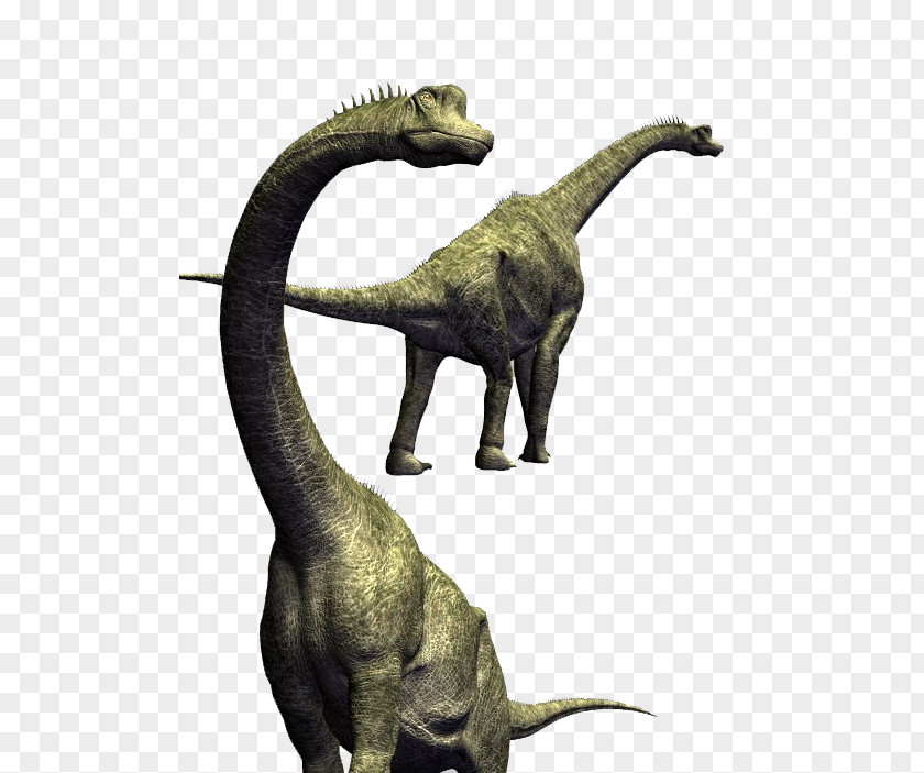 Dino Brachiosaurus Velociraptor Tyrannosaurus Giraffatitan Parksosaurus PNG