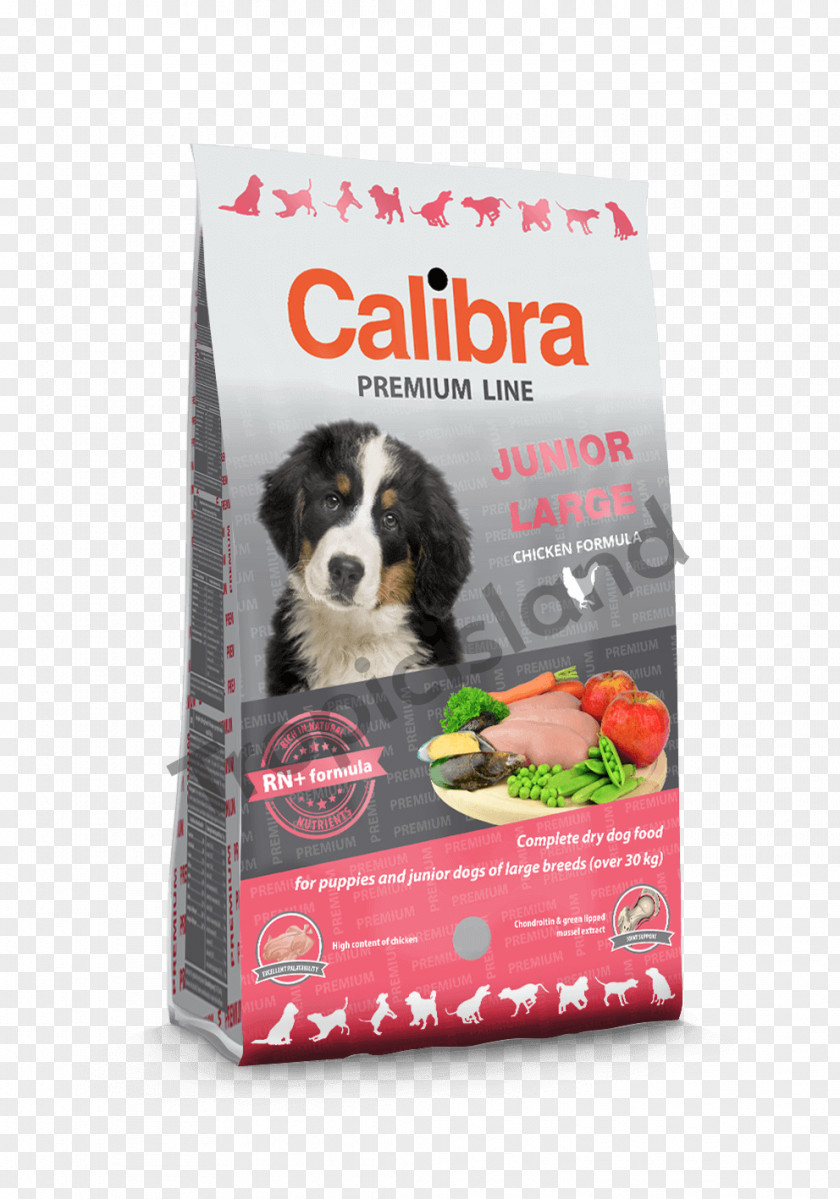 Dog Puppy Cat Food Fodder Breeder PNG