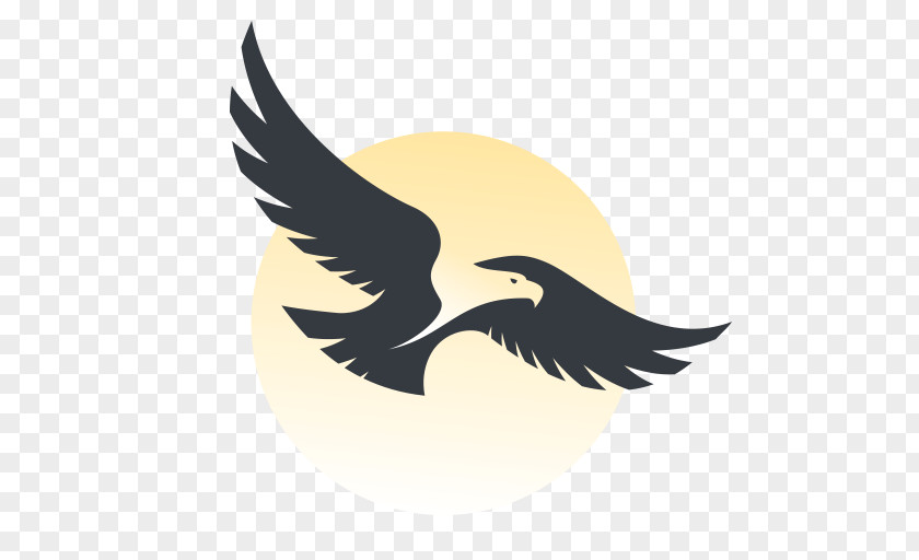 Eagle Silhouette PNG