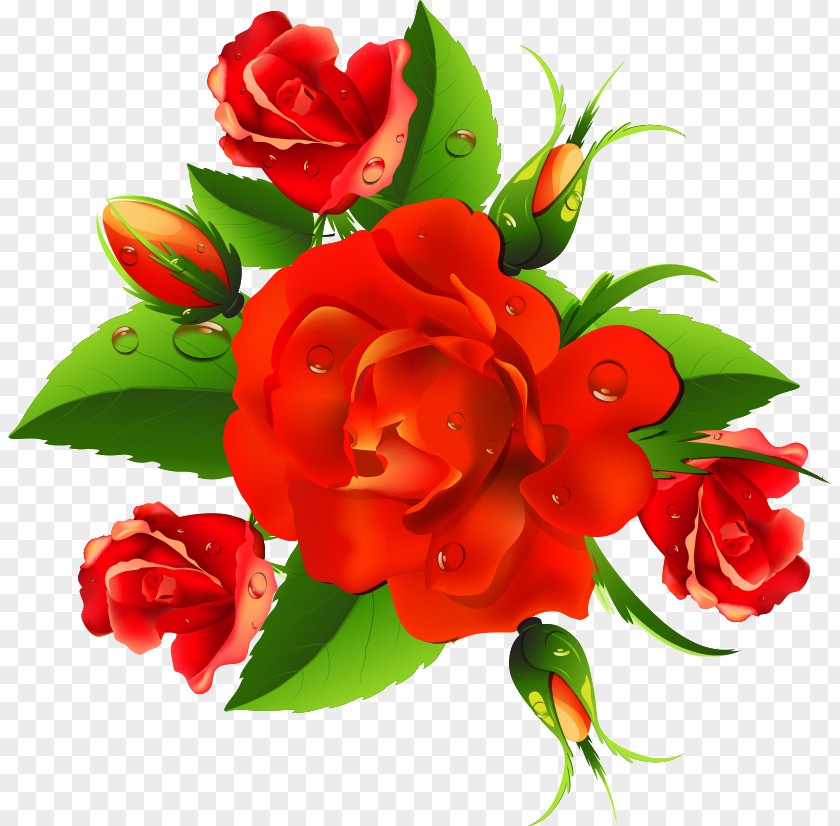 Floral Flowers PNG