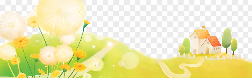 Flower Wildflower Yellow Green Spring Plant Petal PNG