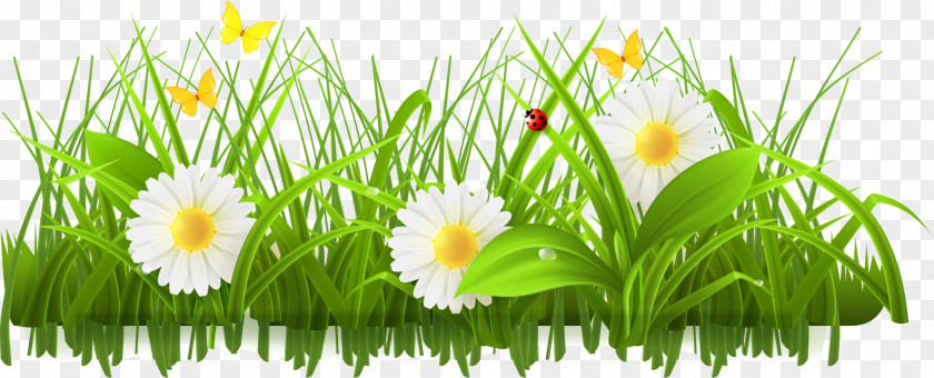 Green Flowers, Bushes Spring Stock Photography Flower Clip Art PNG