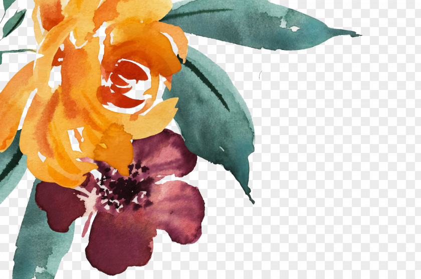 Painting Watercolor: Flowers Watercolor Vector Graphics Drawing PNG