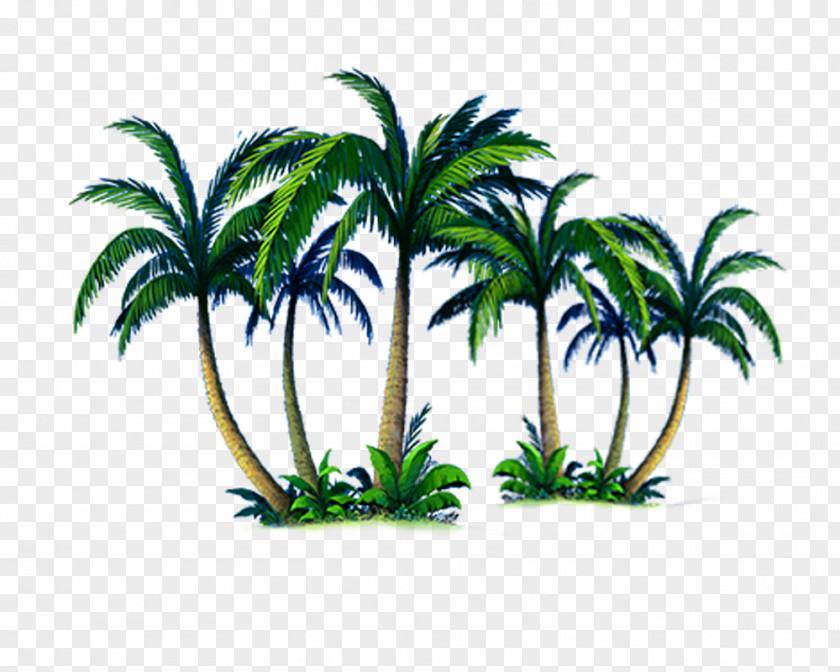 Palm Tree Island Arecaceae Computer File PNG