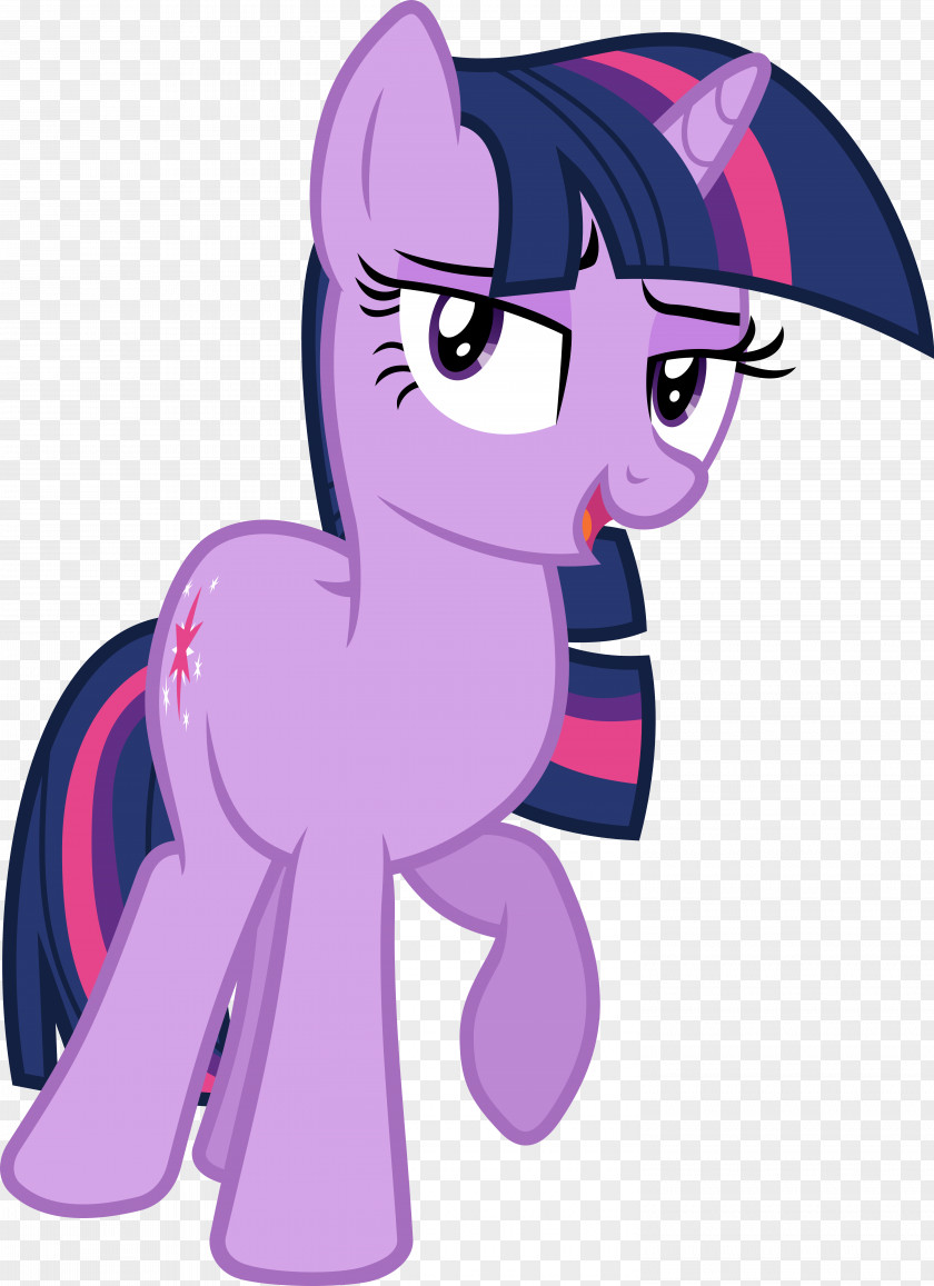 Twilight Sparkle My Little Pony: Friendship Is Magic Fandom PNG