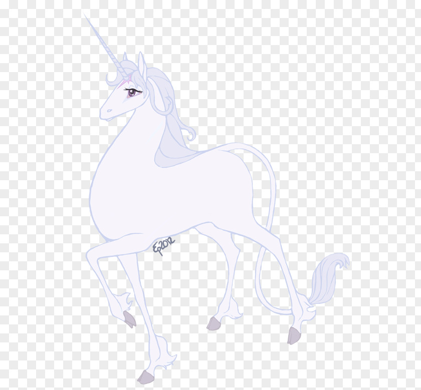 Unicorn Mane Dog Canidae PNG