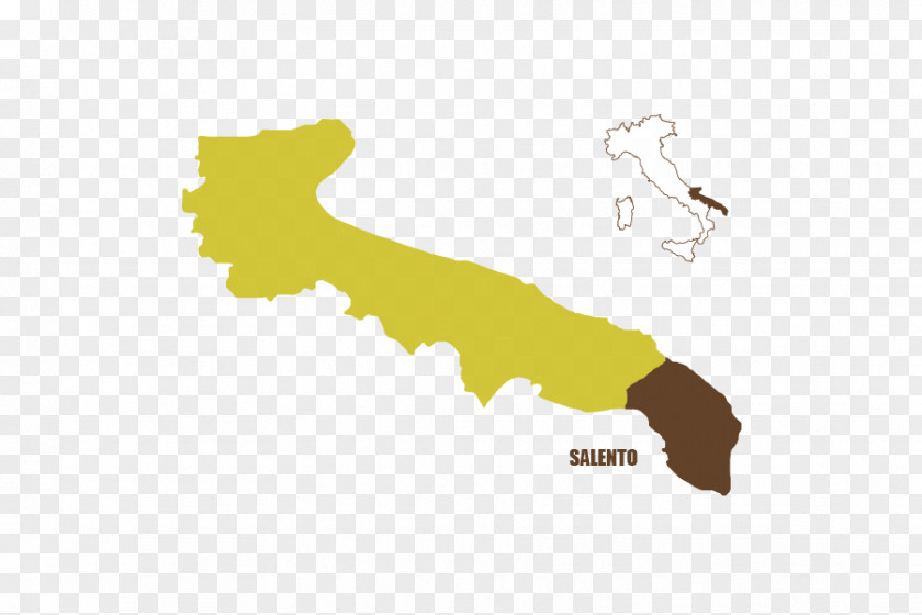 12Sea Grape Apulia Regions Of Italy Emilia-Romagna Collegio Elettorale Uninominale Puglia PNG
