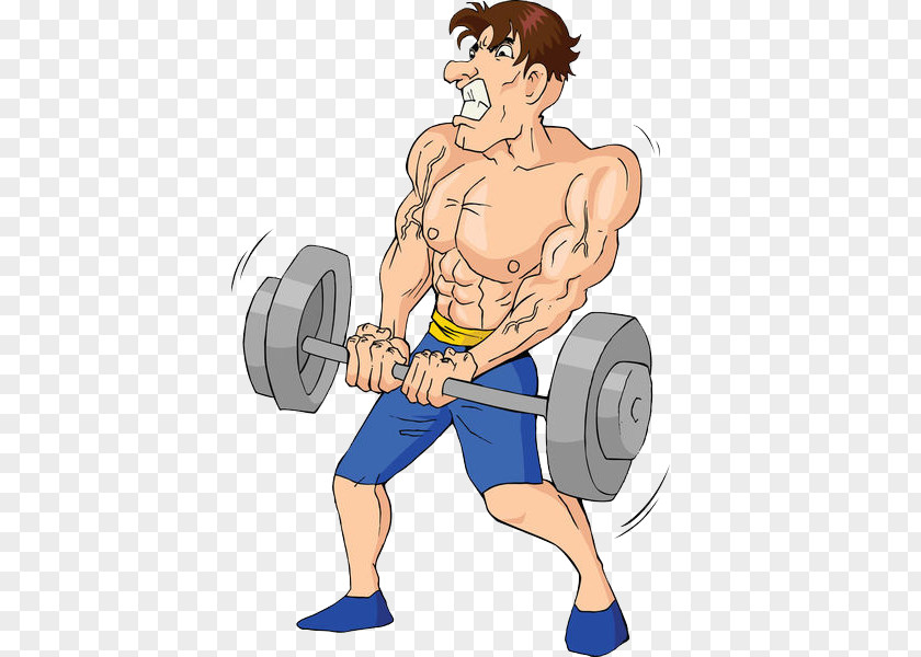 A Man Who Uses His Strength To Lift Barbell Weight Training Olympic Weightlifting Cartoon Illustration PNG