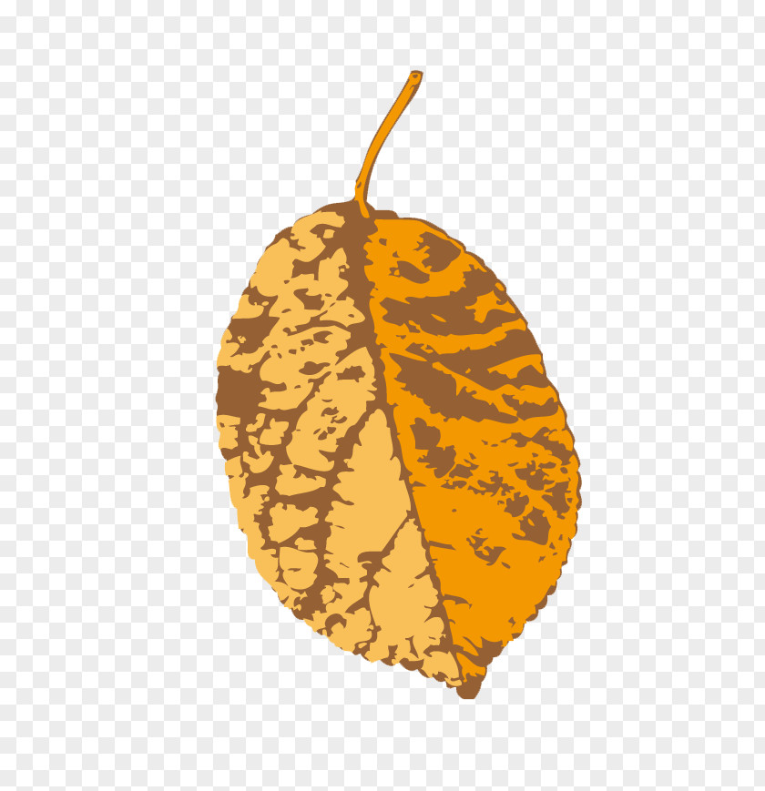 Leaf Yellow Illustration PNG