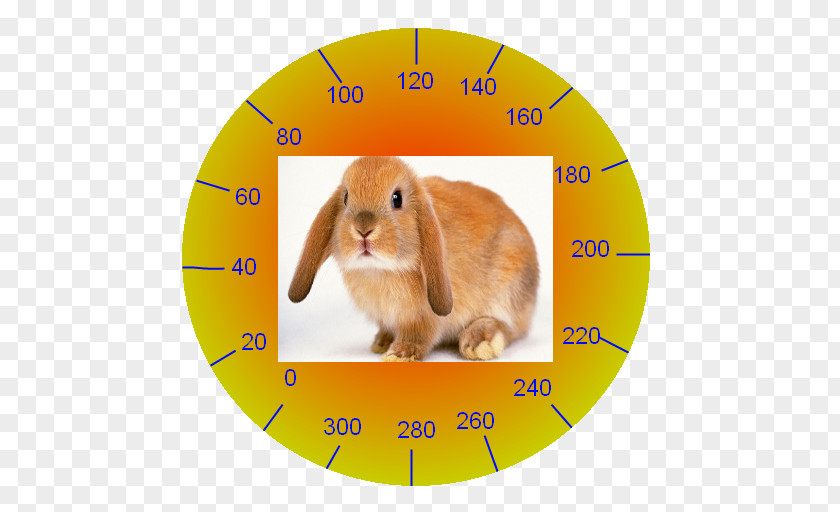 Speedometers Domestic Rabbit Leporids Easter Map PNG