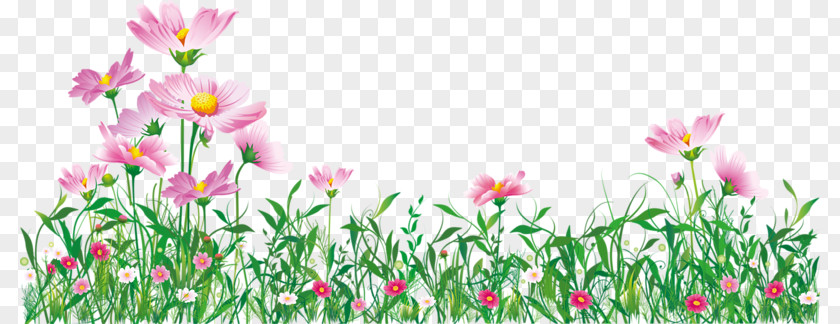 Xj Frame Tulip Image Flower Clip Art PNG