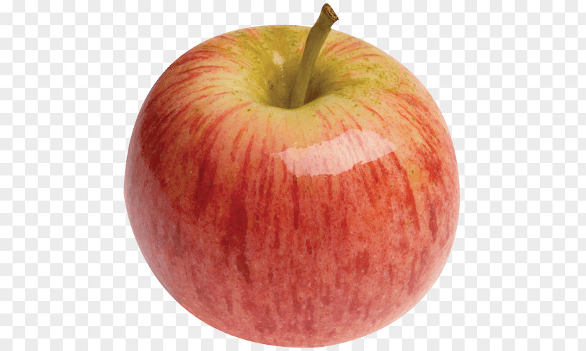 Apple Fruit Gala Organic Food PNG