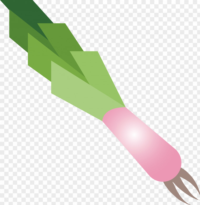 Leek PNG