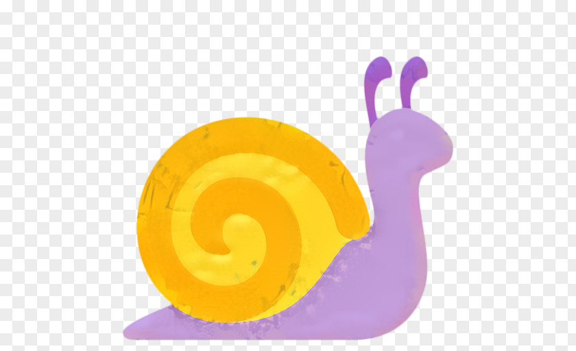 Sea Snail Snails And Slugs Cartoon PNG