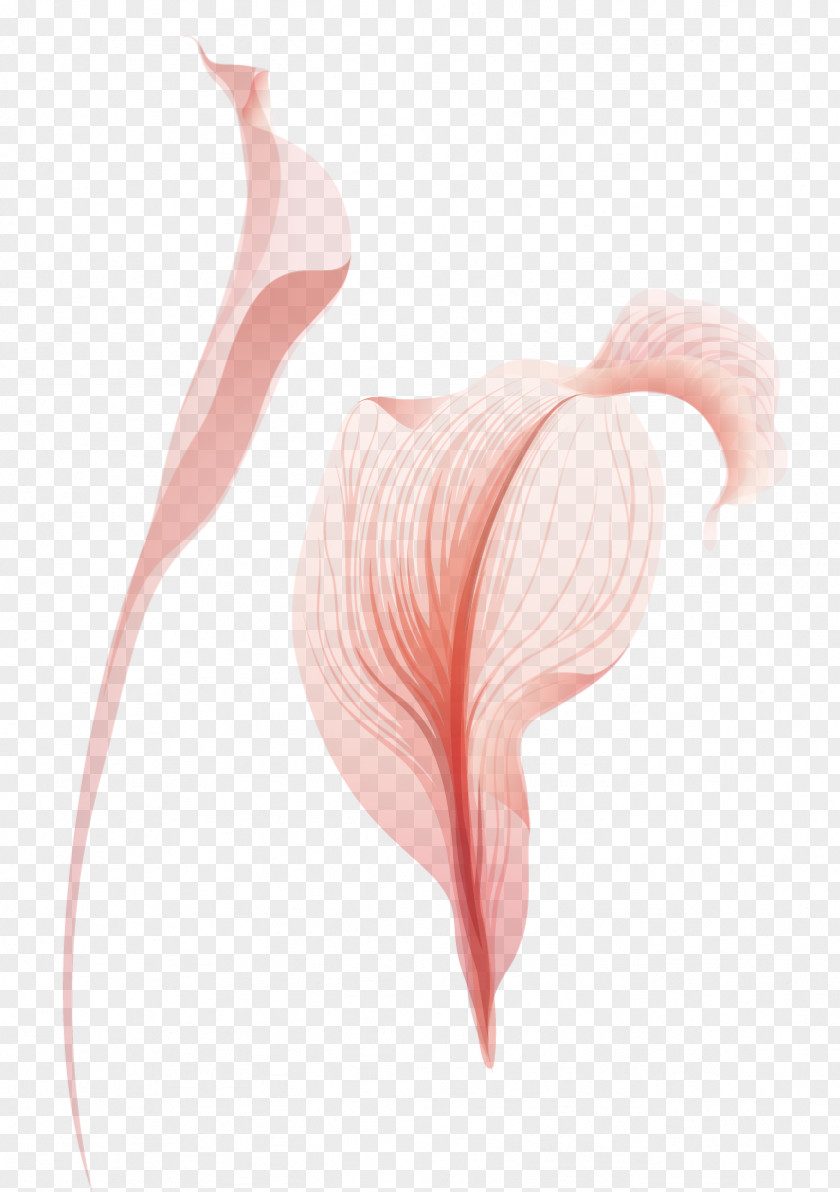 Vector Material Flower Bouquet Shoulder Heart Petal Muscle Pattern PNG