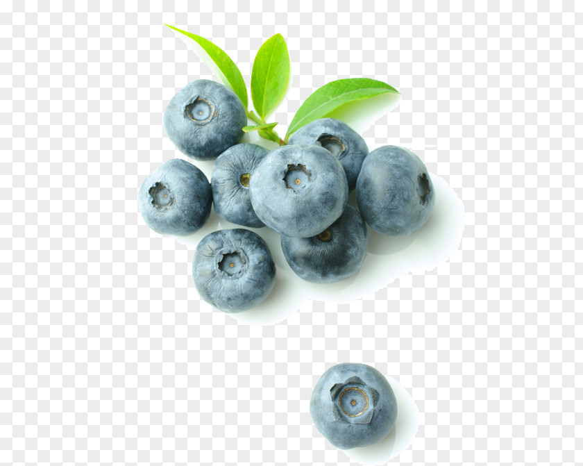 Blueberry Food Refrigerator Bilberry Wine Cooler PNG