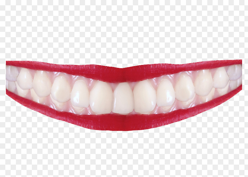 Fever Smile Human Tooth PNG