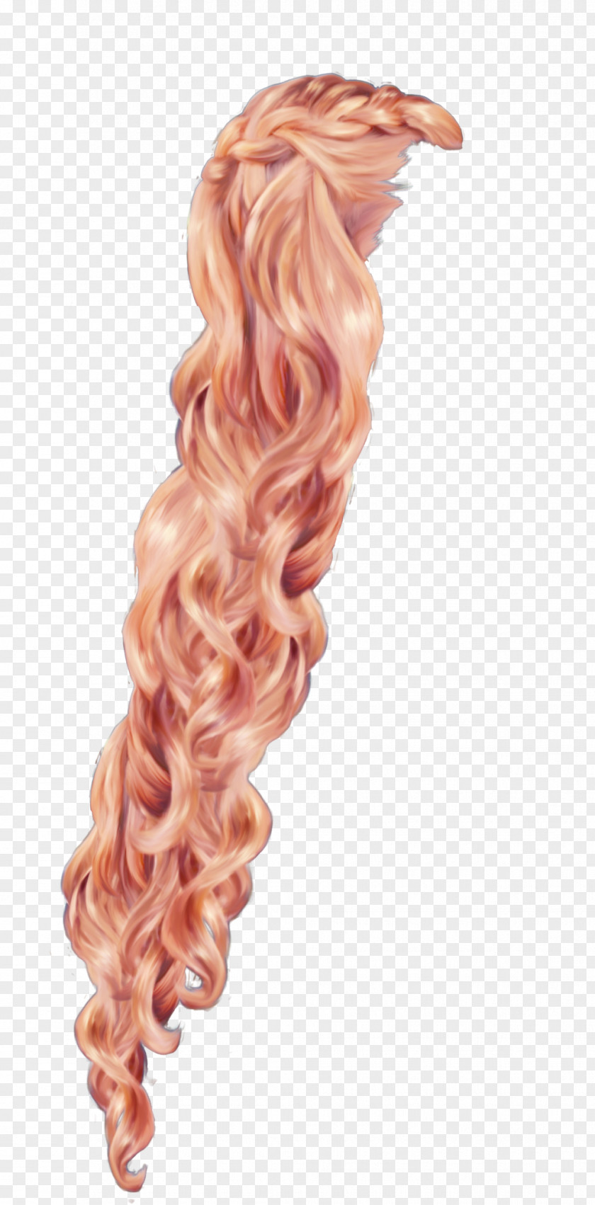 Hair Rapunzel Braid Wig PNG