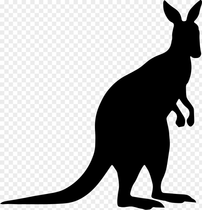 Kangaroo Silhouette Macropodidae Clip Art PNG