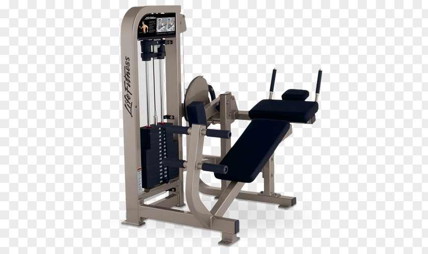 Life Fitness Crunch Centre Exercise Machine Bench PNG