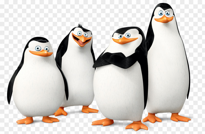 Pinguin Kowalski Skipper Penguin Madagascar Film PNG