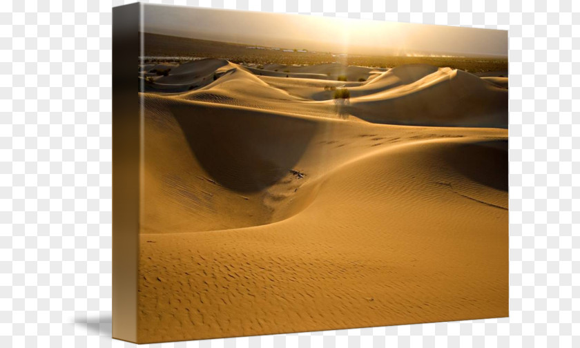 Sand Singing Gallery Wrap Dune Canvas PNG