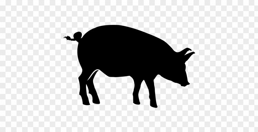 Blackandwhite Silhouette Pig Cartoon PNG