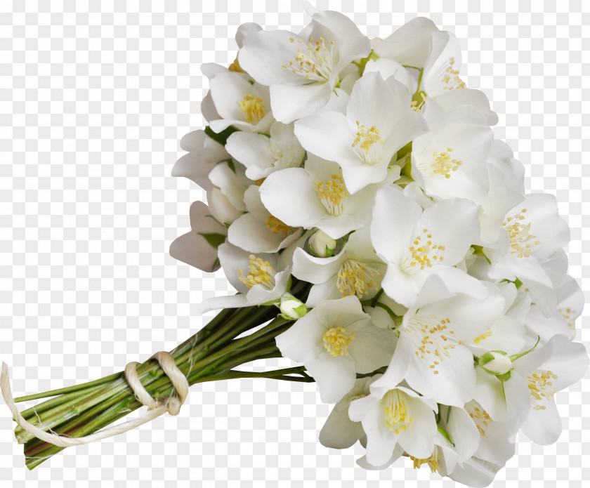 Bouquet Flower Vase PNG
