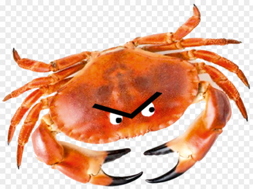 Cheer Up Love: Adventures In Depression With The Crab Of Hate Dungeness King Comedian PNG in depression with the of crab Comedian, clipart PNG