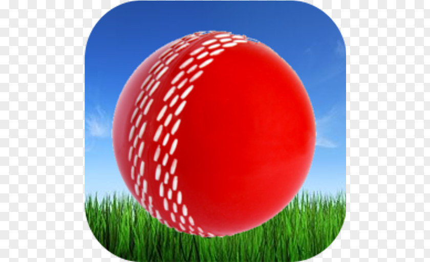 Cricket Balls Gray-Nicolls Batting PNG