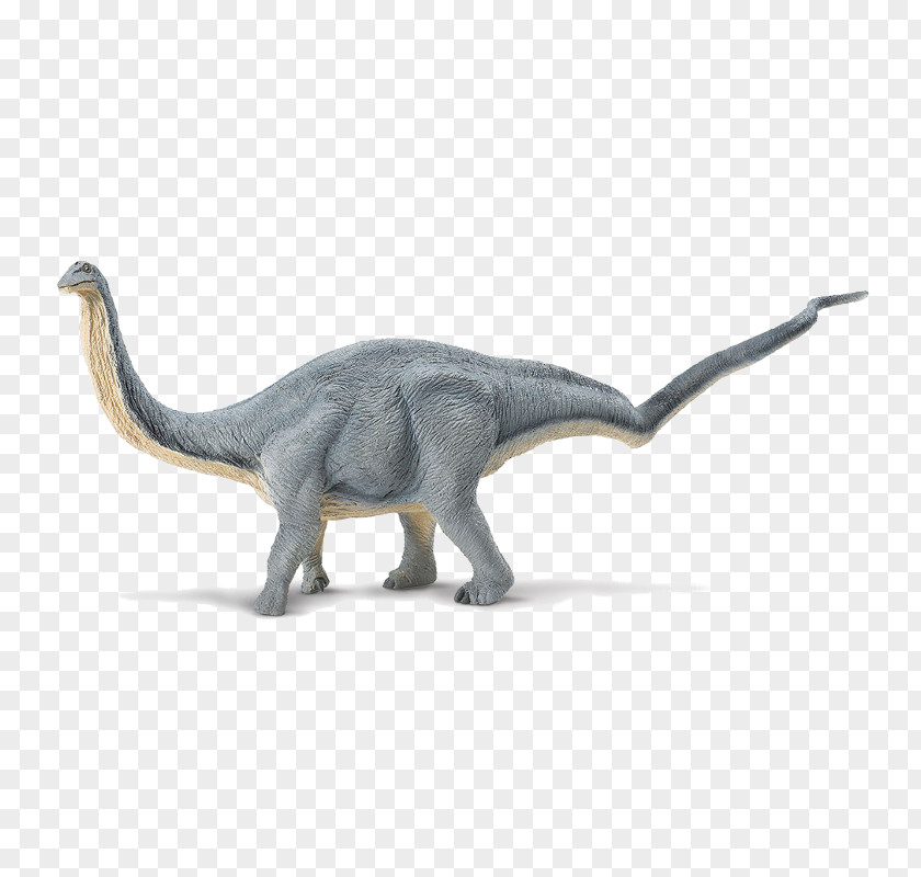 Dinosaur Apatosaurus Suchomimus Brachiosaurus Diplodocus PNG