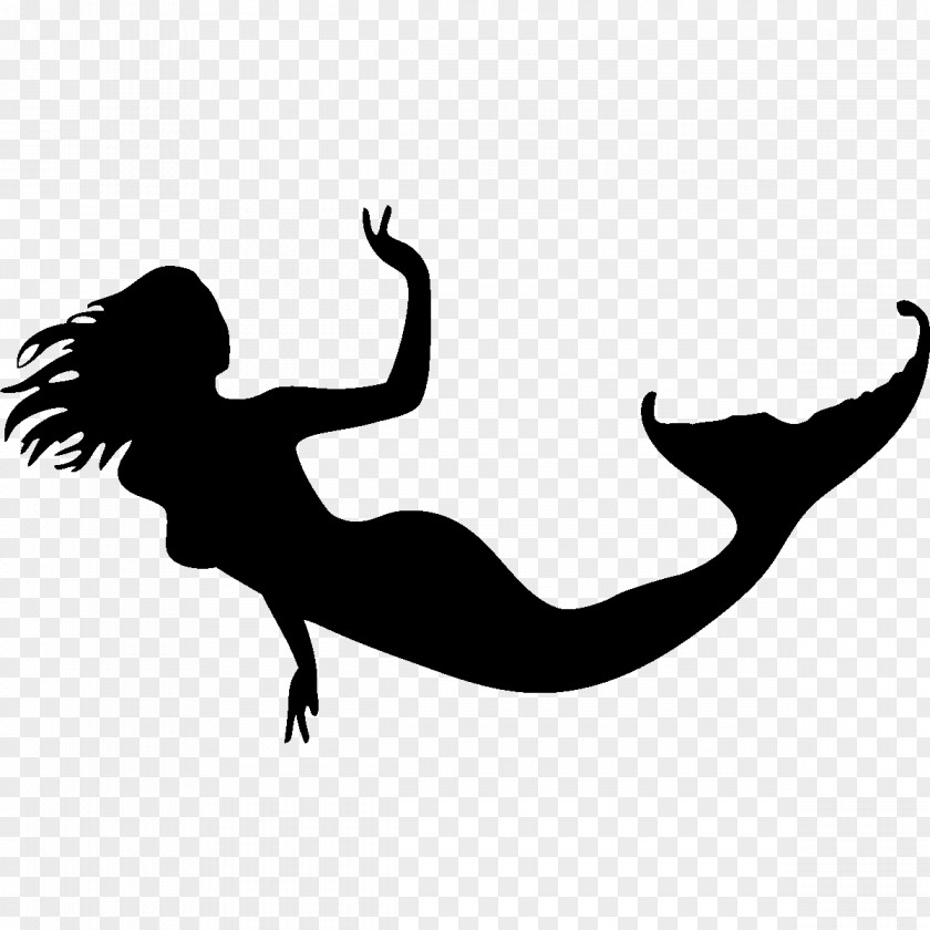 Mermaid Tail Silhouette Photography Drawing Clip Art PNG