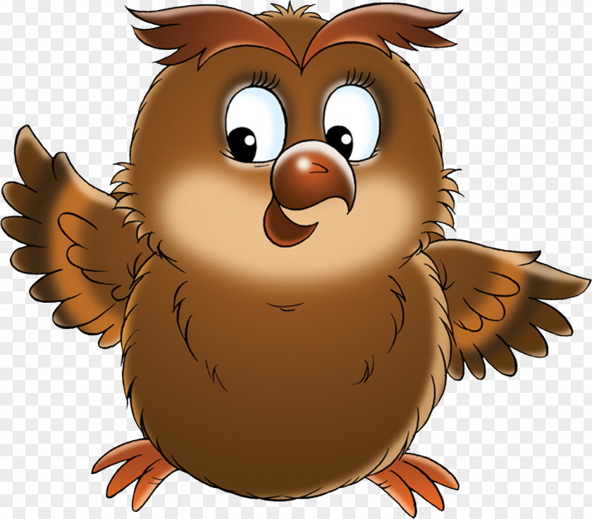 Owl Bird Drawing Animation Clip Art PNG