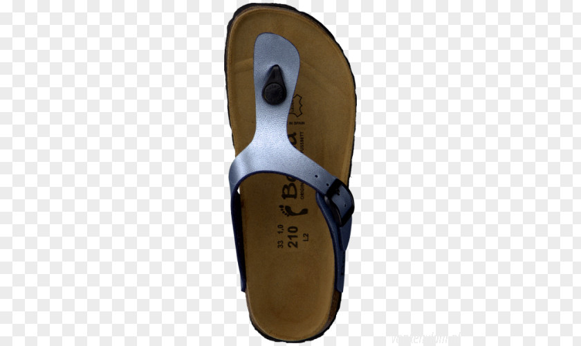 Sandal Slipper Shoe Blue Rose PNG