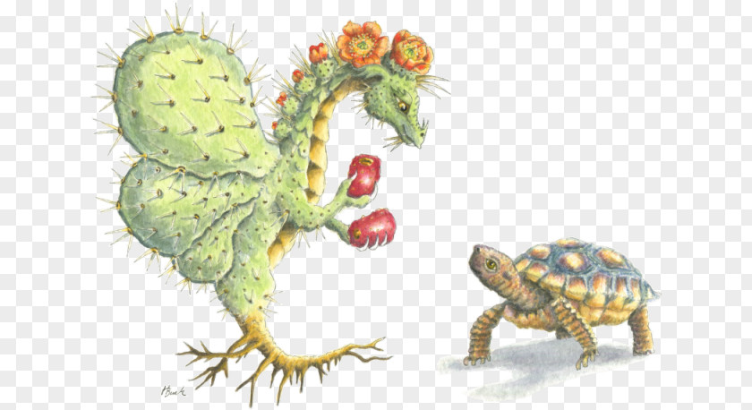 Eastern Prickly Pear Reptile Tortoise Flower Dragon Turtle PNG