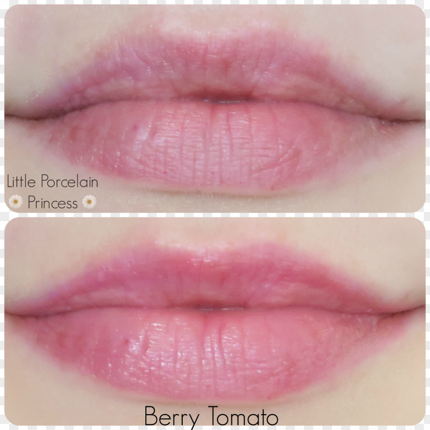 Lip Tint Balm Stain Lipstick Gloss PNG