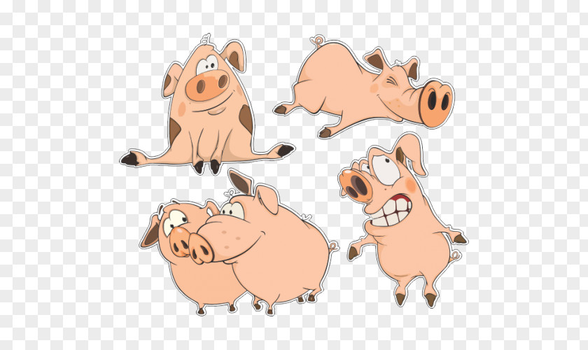 Pig Cartoon Drawing PNG