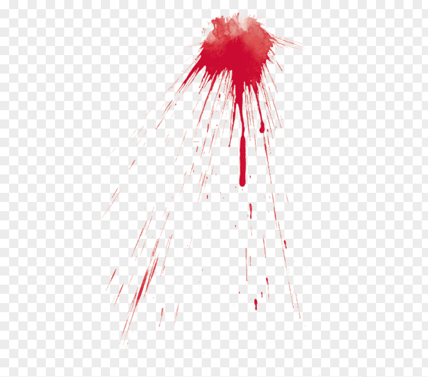 Blood Vein Description Bleeding PNG