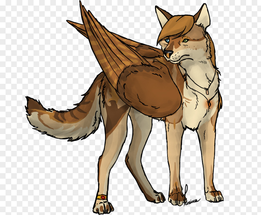 Cat Red Fox Gray Wolf Jackal PNG