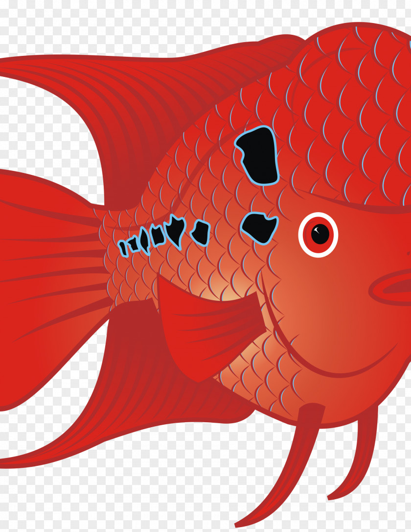 Fish Flowerhorn Cichlid Goldfish Tropical Clip Art PNG