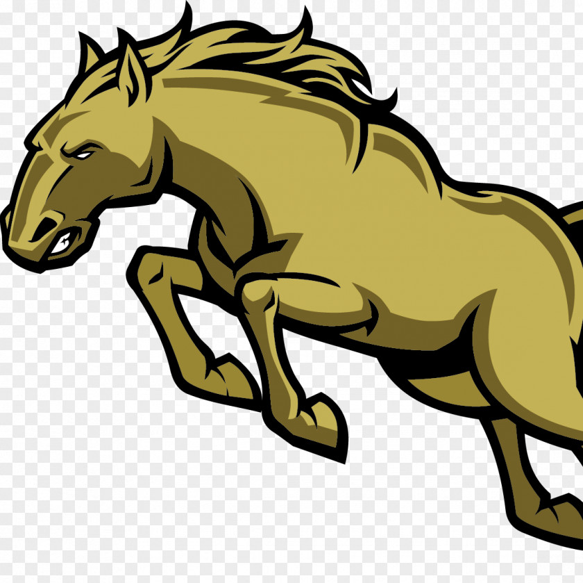 School Shadow Ridge High National Secondary Clip Art PNG