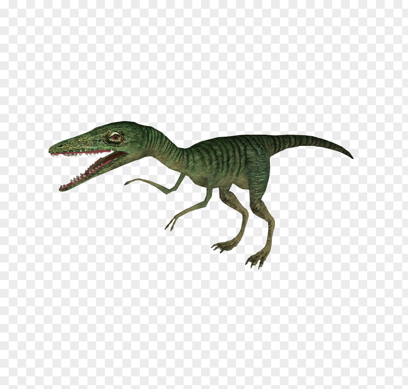 Suchomimus Jurassic World Velociraptor Compsognathus Deinonychus Tyrannosaurus Rex Animal PNG