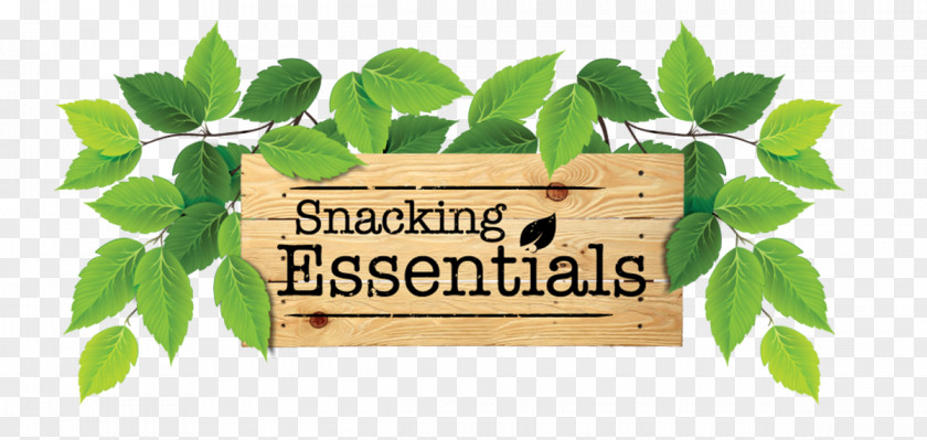 Cashew Tree Snacking Essentials Dried Fruit Peanut Ingredient PNG